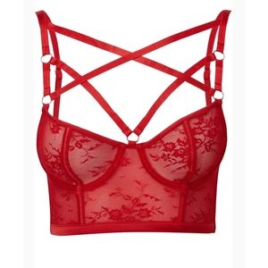 Killstar NWT- DEADLY ATTRACTION BRA [SCARLET]